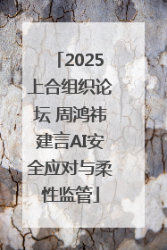 2025上合组织论坛 周鸿祎建言AI安全应对与柔性监管