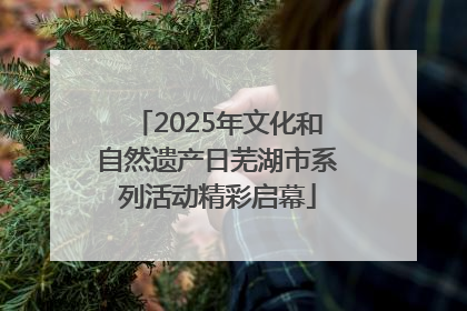 2025年文化和自然遗产日芜湖市系列活动精彩启幕