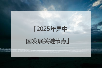 2025年是中国发展关键节点