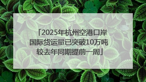2025年杭州空港口岸国际货运量已突破10万吨 较去年同期提前一周