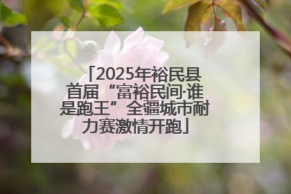 2025年裕民县首届“富裕民间·谁是跑王”全疆城市耐力赛激情开跑