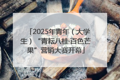 2025年青年（大学生）“青耘八桂·百色芒果”营销大赛开幕