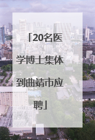 20名医学博士集体到曲靖市应聘