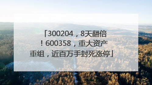 300204，8天翻倍！600358，重大资产重组，近百万手封死涨停
