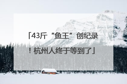 43斤“鱼王”创纪录！杭州人终于等到了