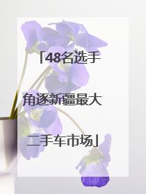 48名选手角逐新疆最大二手车市场