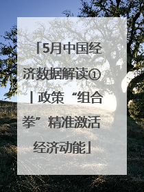 5月中国经济数据解读①丨政策“组合拳”精准激活经济动能