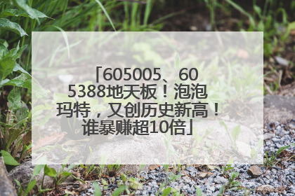 605005、605388地天板！泡泡玛特，又创历史新高！谁暴赚超10倍
