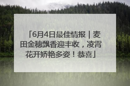 6月4日最佳情报｜麦田金穗飘香迎丰收，凌霄花开娇艳多姿！恭喜