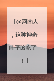 @河南人，这种神奇叶子该吃了！