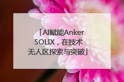 AI赋能Anker SOLIX，在技术无人区探索与突破