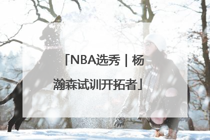 NBA选秀｜杨瀚森试训开拓者