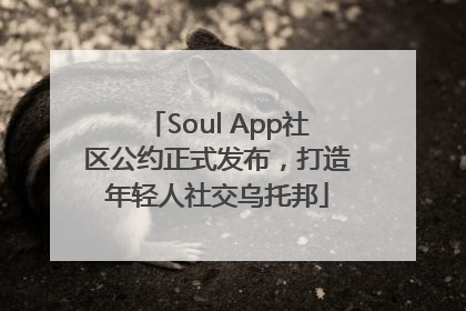Soul App社区公约正式发布，打造年轻人社交乌托邦
